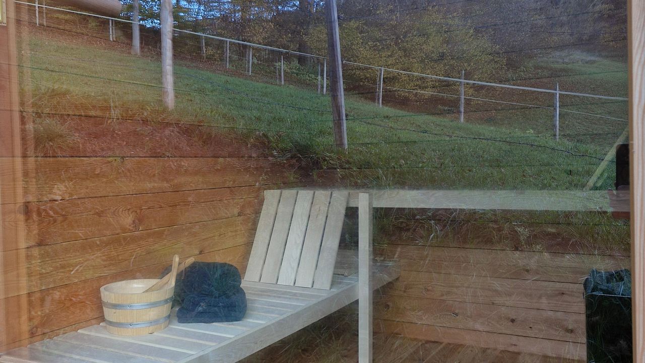 Blick in die Sauna Blick in die Sauna